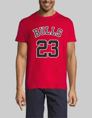 Bulls Jordan t-shirt