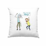 Rick & Morty Pillow