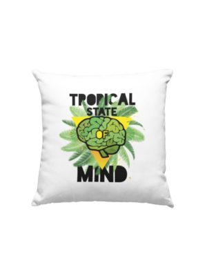 Tropical state of mind pillow